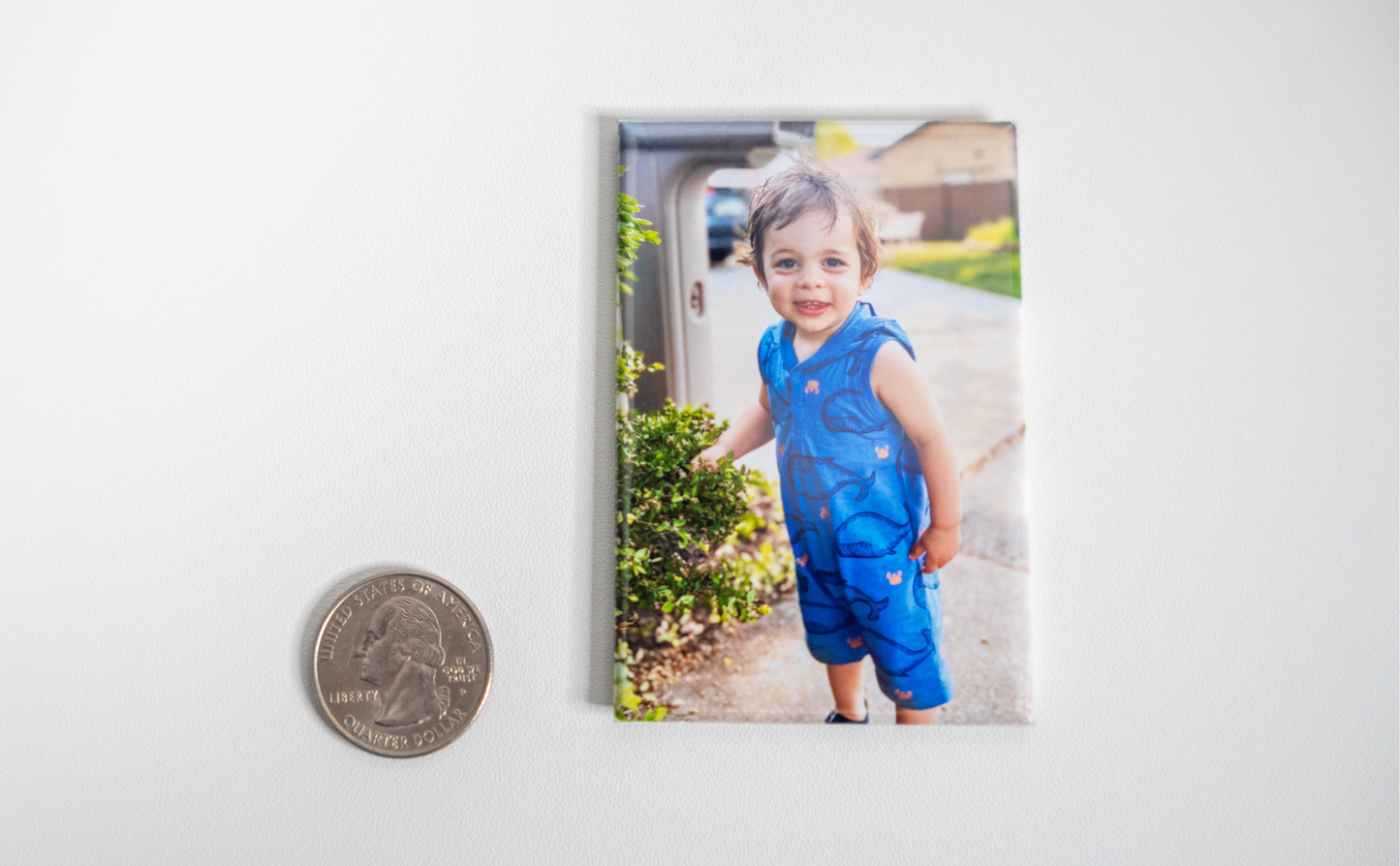 2x3" Rectangle Button Magnets